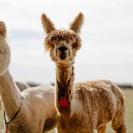 Reethaus 1b Vakantiehuis