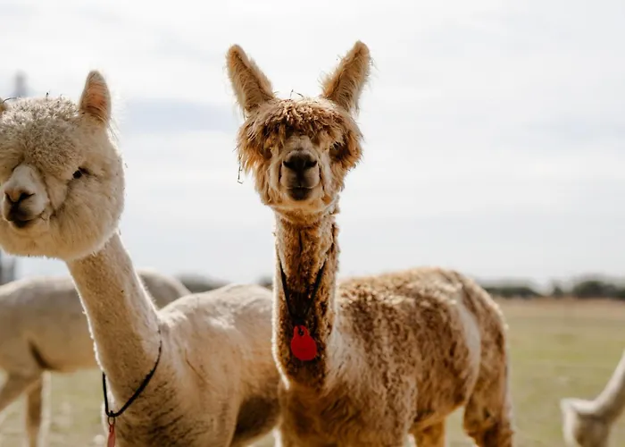 Reethaus 1b Casa de Férias