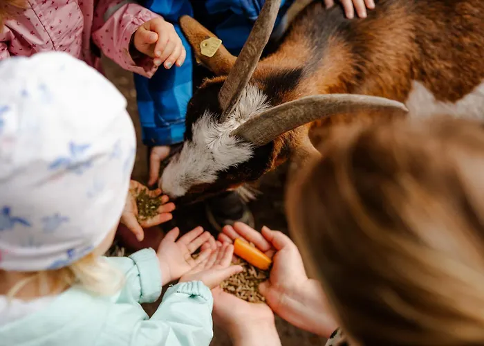 Reethaus 1b Casa de Férias *