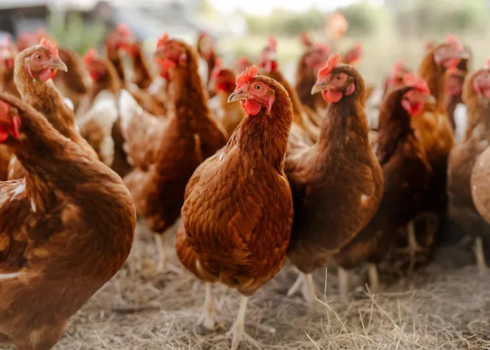 Reethaus 1b Casa de Férias Staberdorf