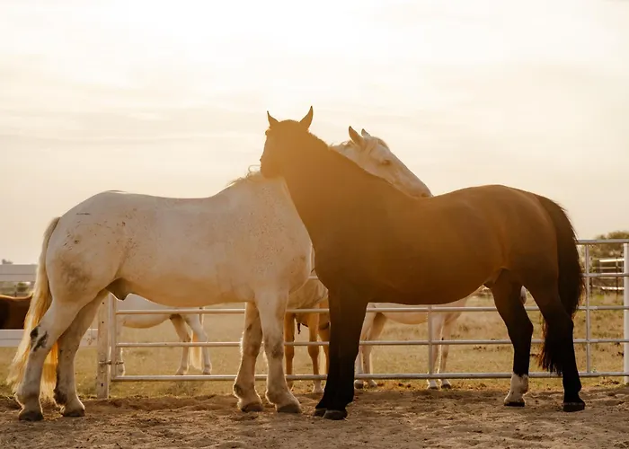 Reethaus 1b Staberdorf