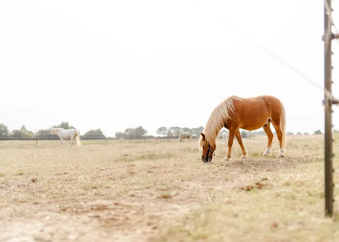 Reethaus 1b * Staberdorf