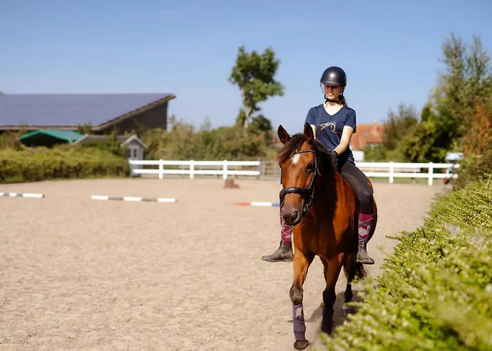 Casa de Férias Reethaus 1b