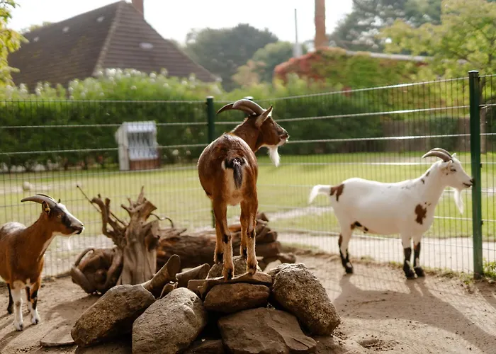 Reethaus 1b Casa de Férias *