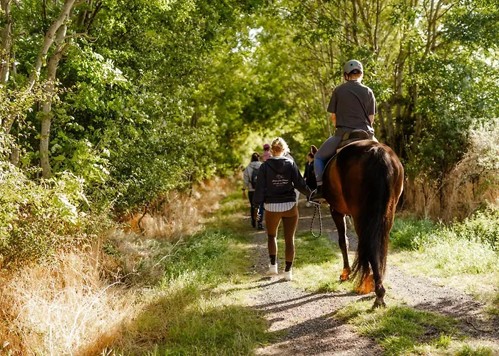 Reethaus 1b Casa de Férias Staberdorf