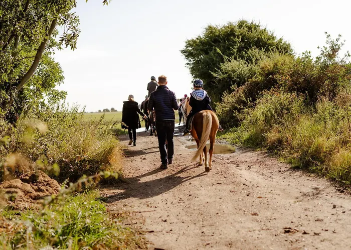 Casa de Férias Reethaus 1b